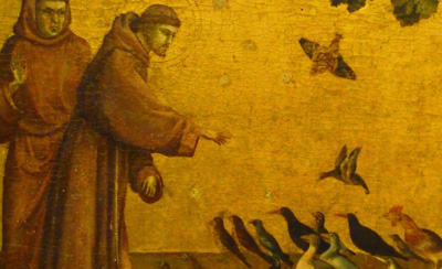 st francis feeding birds400