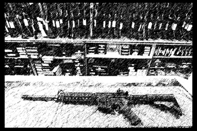 confiscated guns poster400