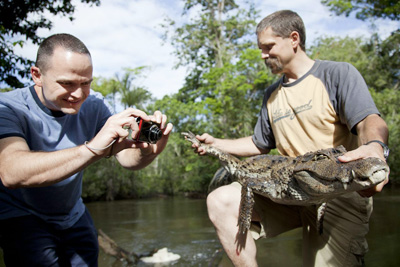 jungle camp gator400