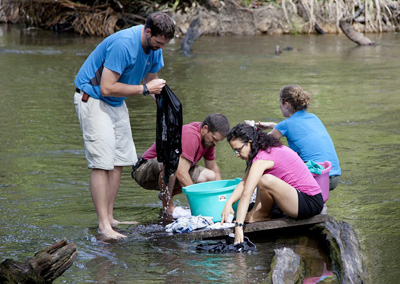 jungle camp washing400