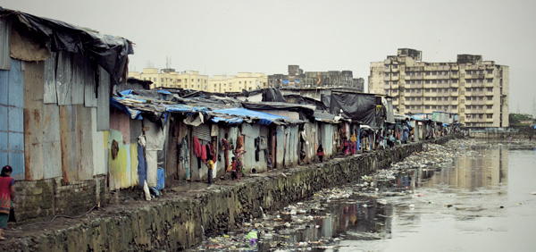 South Asia: Talking animals and shining light