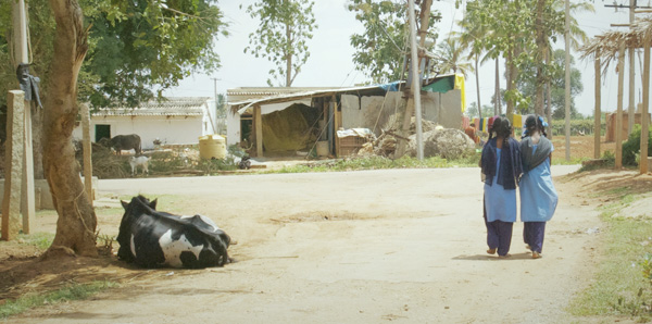 South Asia: God had a plan