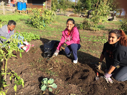 cliff temple garden425