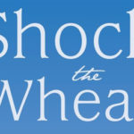 Book review: Shock the Wheat