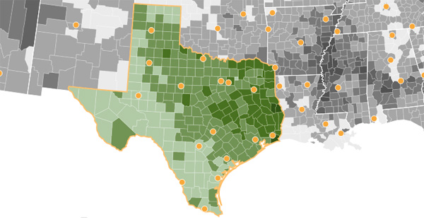 Texas ranks No. 2 nationally in food-insecure population