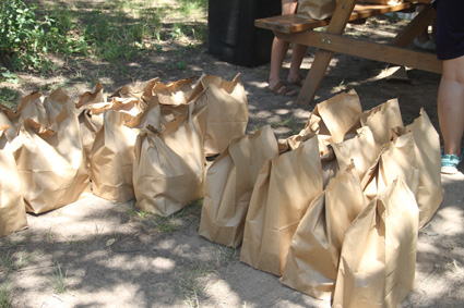 summer feeding brownbags425