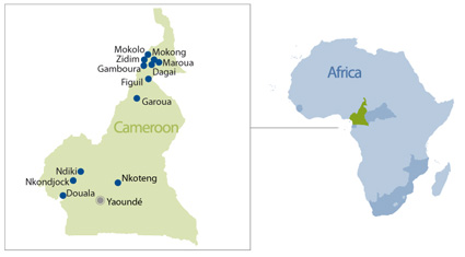 cameroon map425