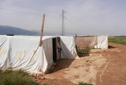 lebanese refugee tent425