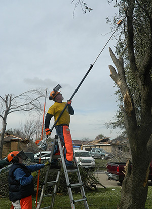 Collin chainsaw 300