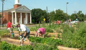 FBC Plano garden 300