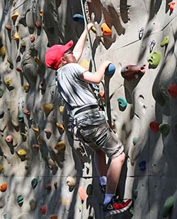 climbing wall 250