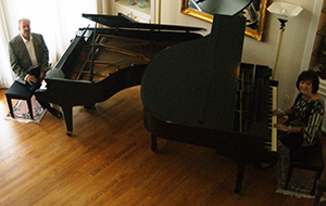 Haydons twopianos GH 300