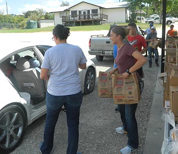 Volunteers load food in cars 350