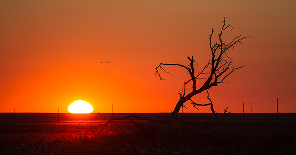 West Texas sunrise