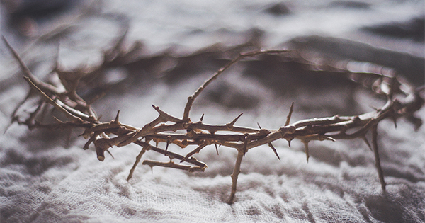 crown of thorns
