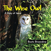 Wise Owl 200